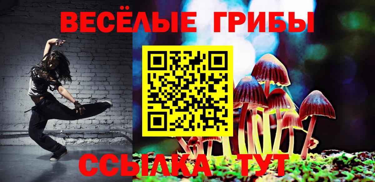 Галлюциногенные грибы GOLDEN TEACHER  Вход с VPN  где найти наркотики  Шебекино 